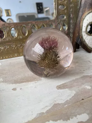 Presse papier en resine - Chardon Marie