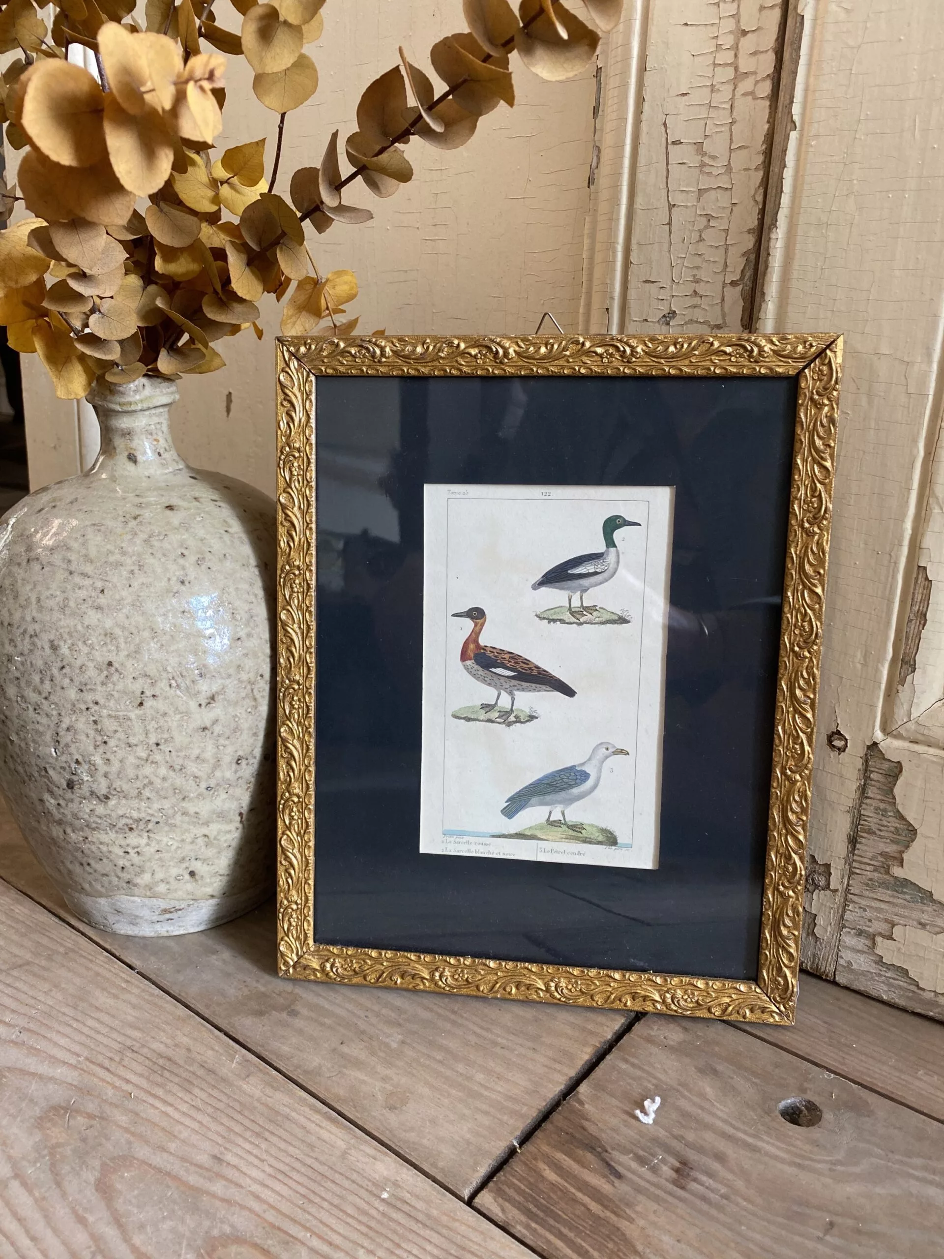 Gravure de 3 oiseaux