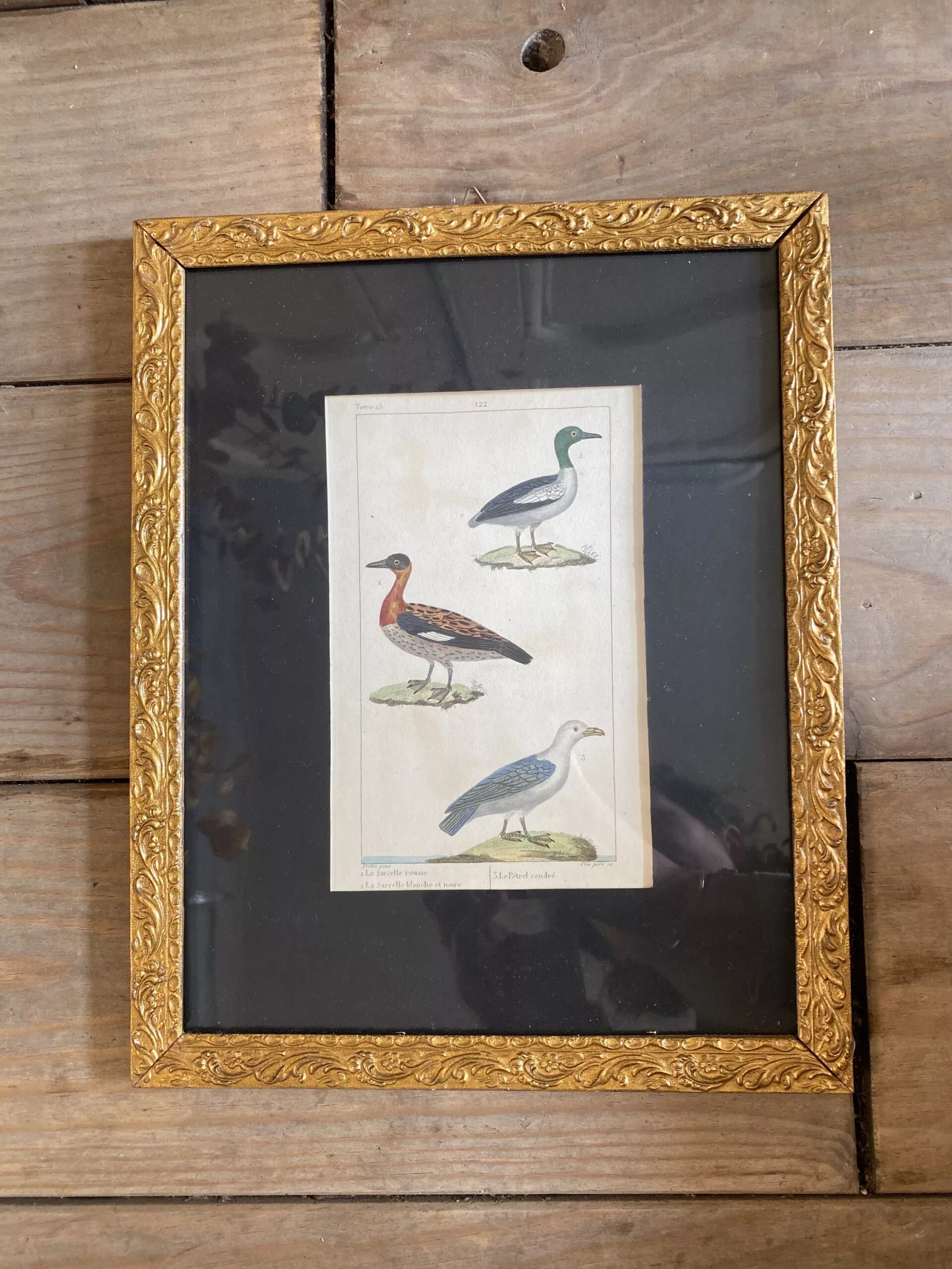 Gravure de 3 oiseaux – Image 3