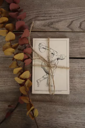 Collection de 20 Cartes bon point école - vintage