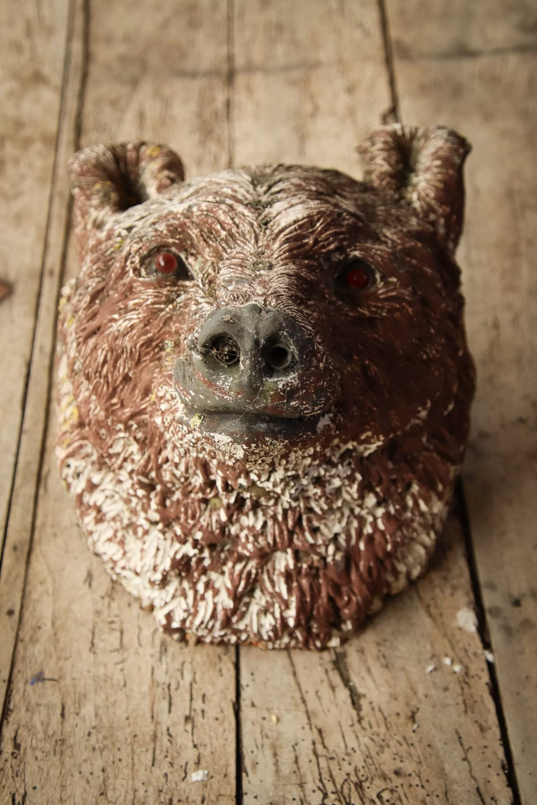 Trophée tete d'ours brun en résine – Image 5