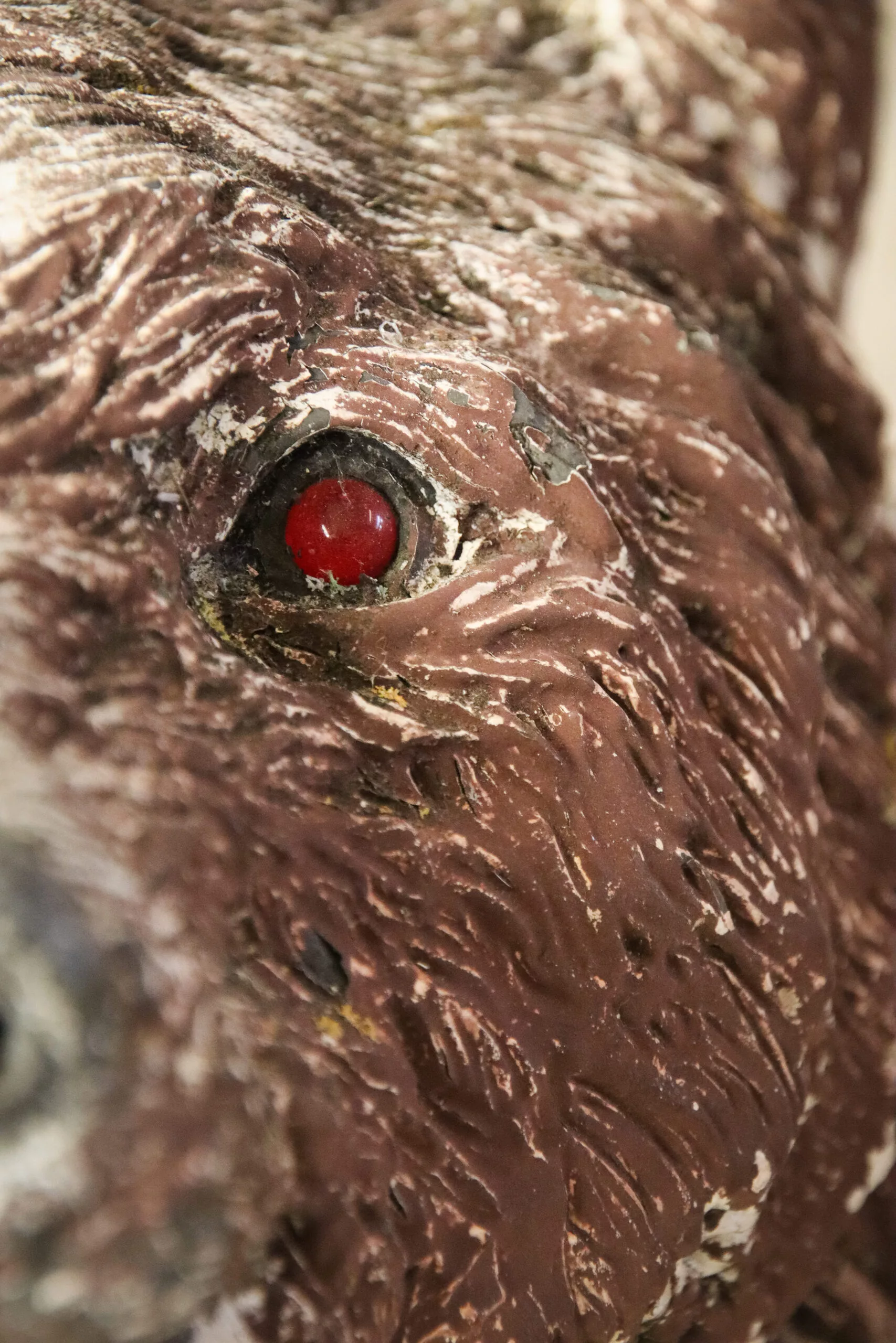 Trophée tete d'ours brun en résine – Image 3