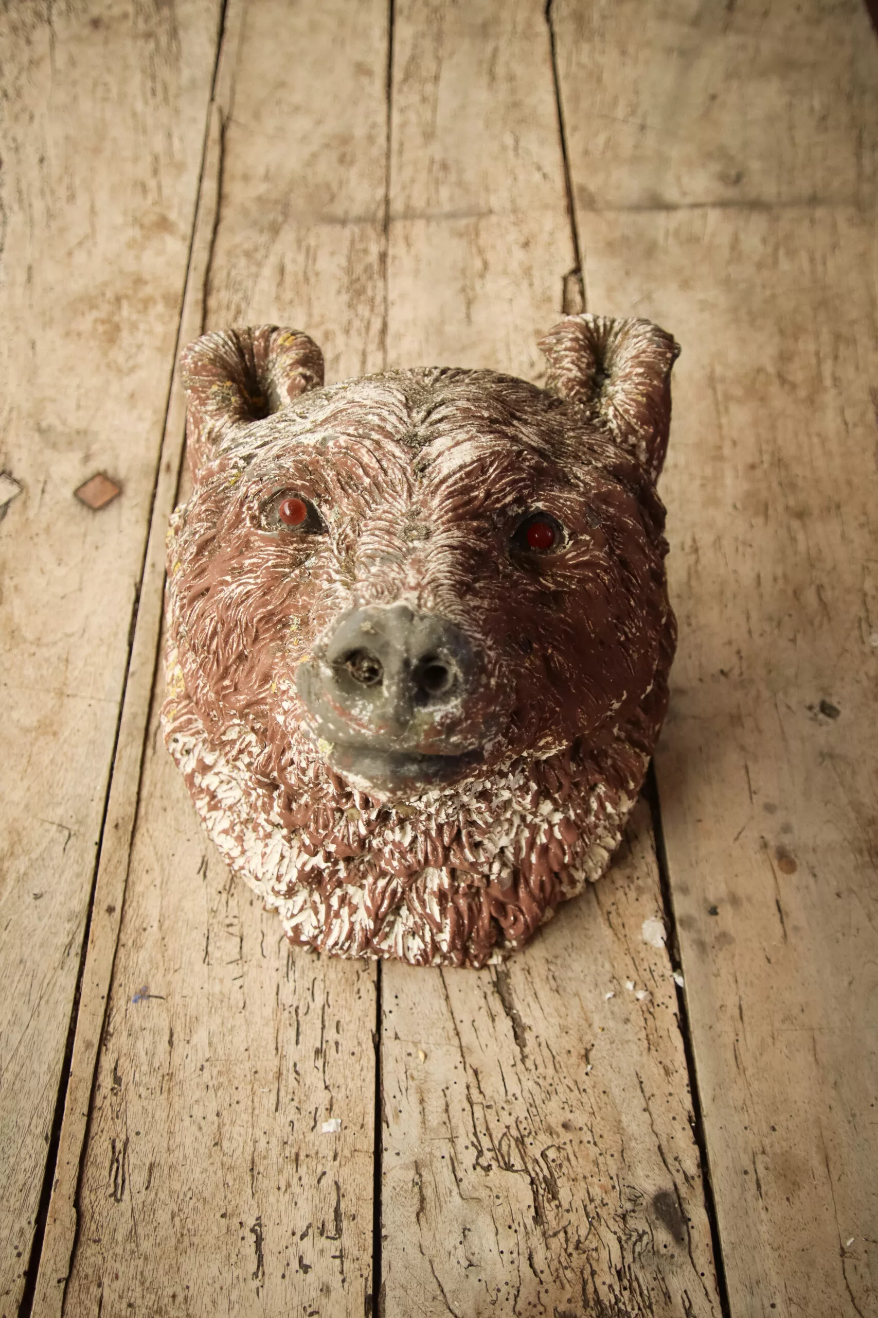 Trophée tete d'ours brun en résine