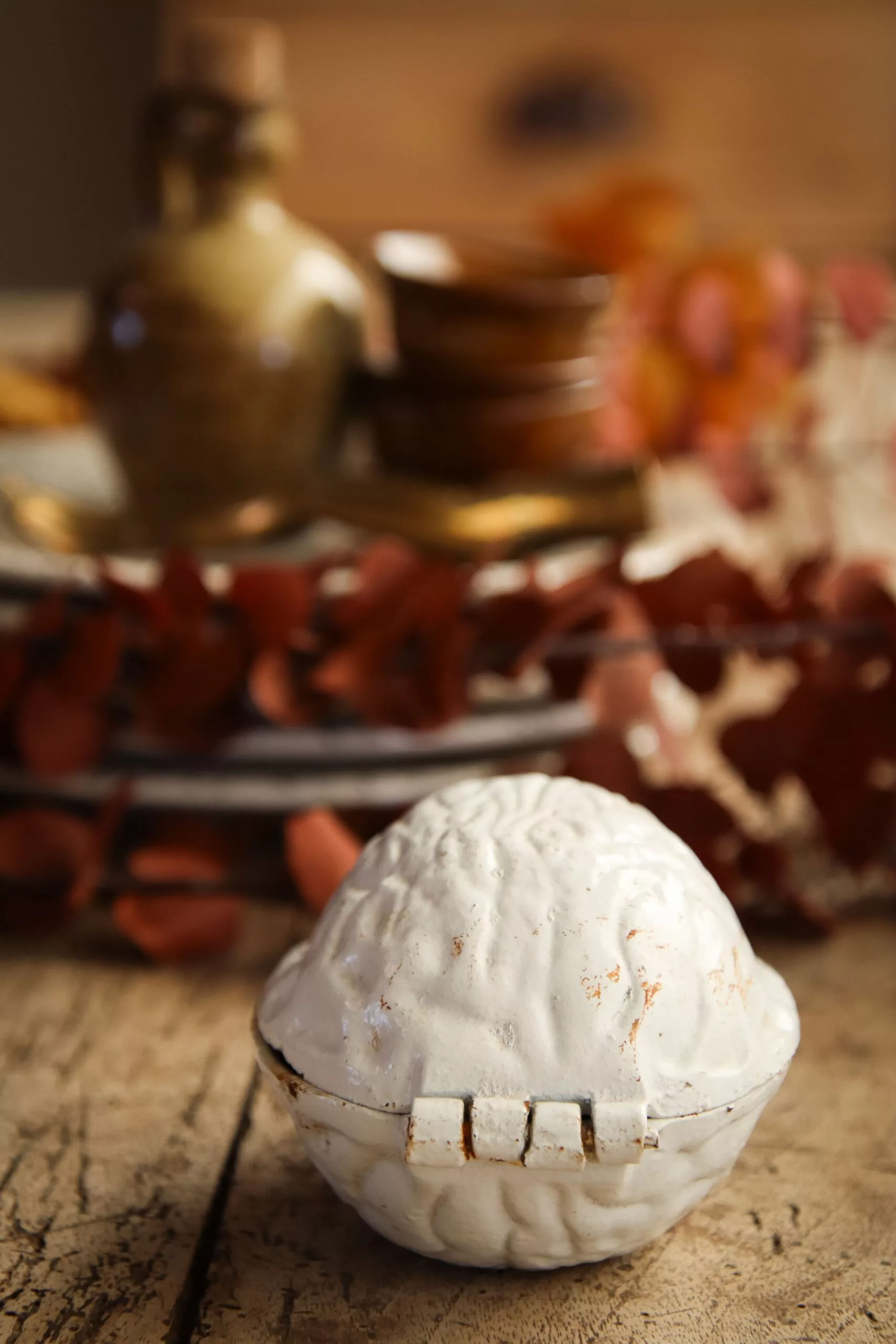 Casse noix blanc – Image 4