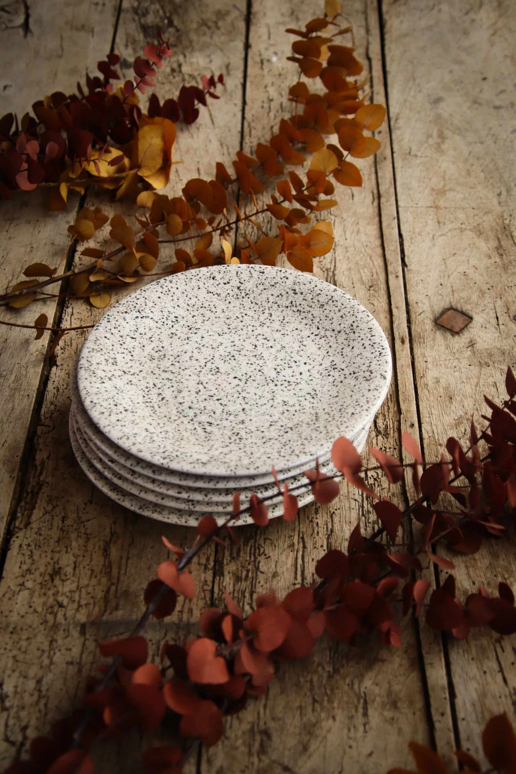 4 petites assiettes à dessert mouchetées