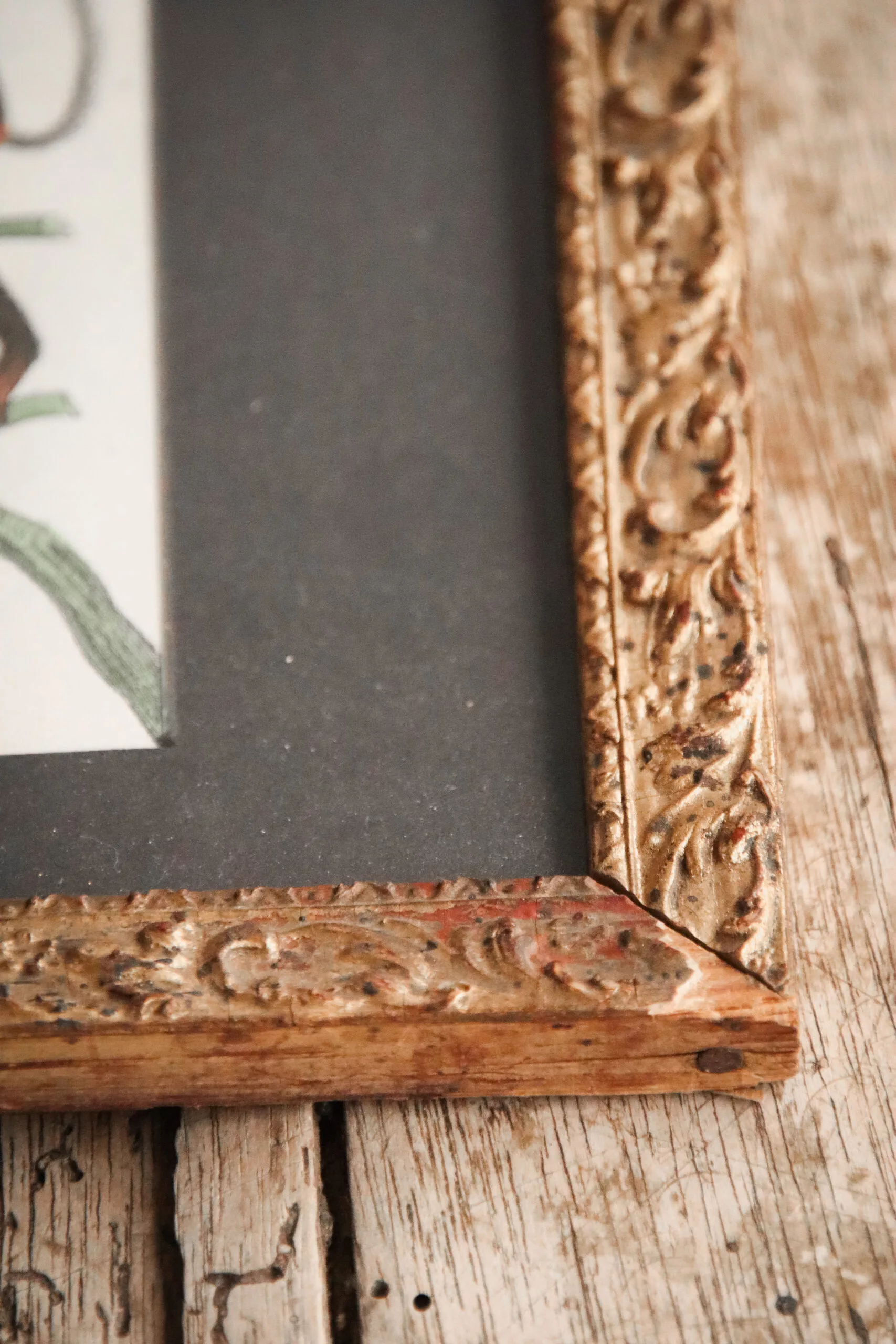 GRAVURES DE SINGES DE BUFFON FIN XVIIIE – Image 12