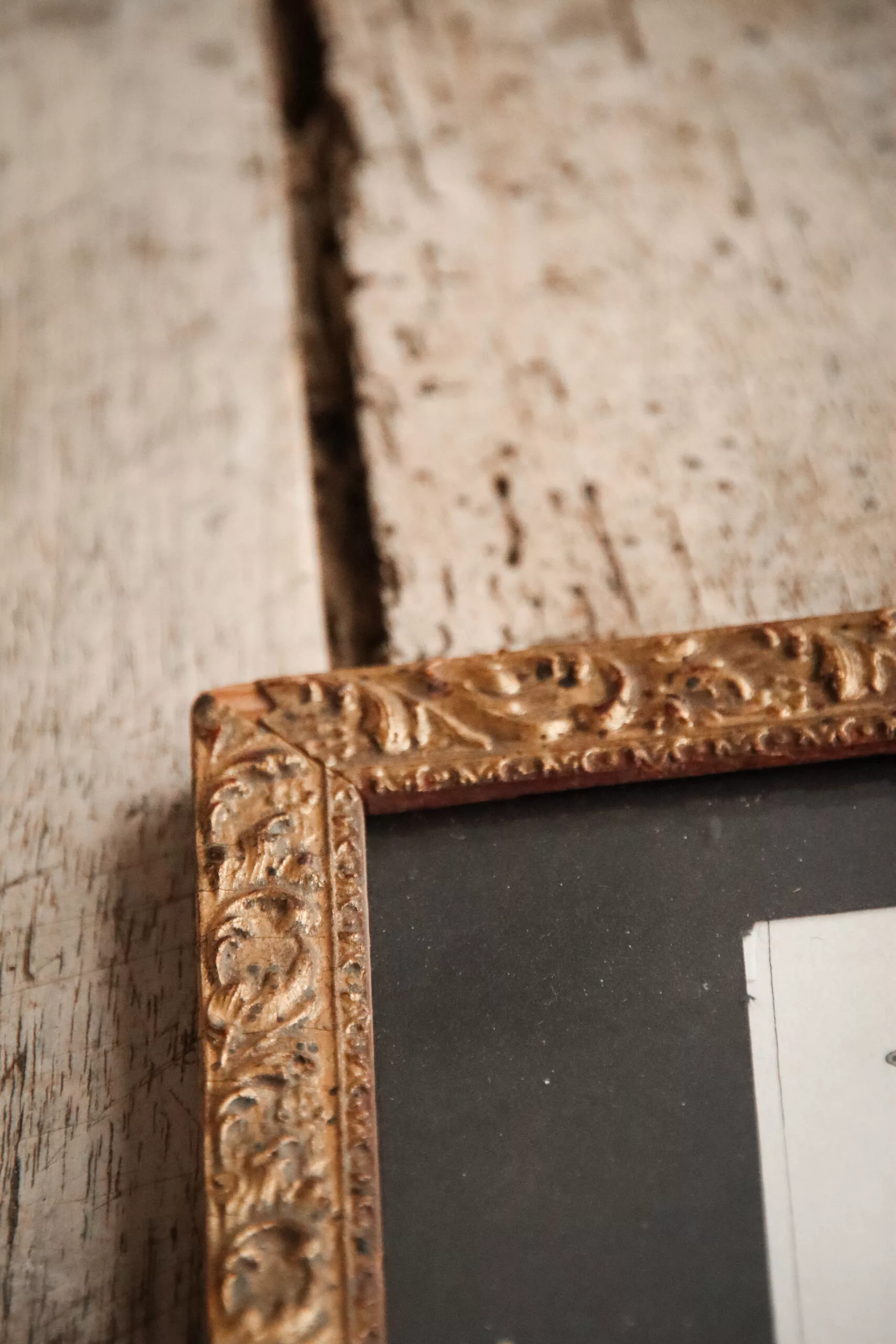 GRAVURES DE SINGES DE BUFFON FIN XVIIIE – Image 9